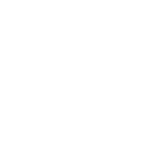 Holster@2x